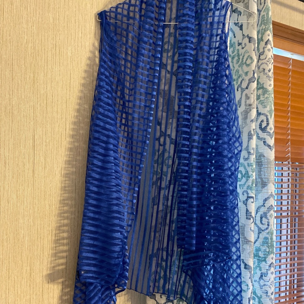 Striking Blue Vest